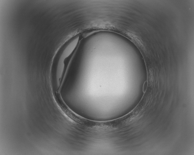 X0000075410630200610061958