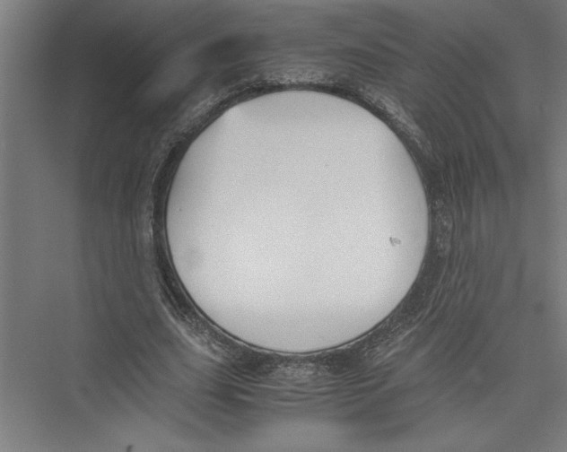 X0000075410631200610061958