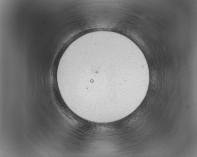 X0000075410632200610061958