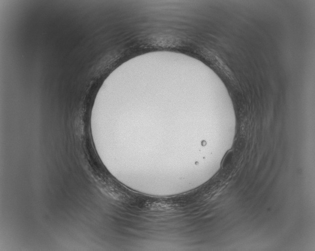 X0000075410635200610061958