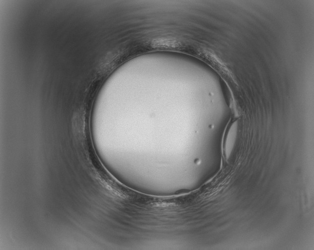 X0000075410637200610061958