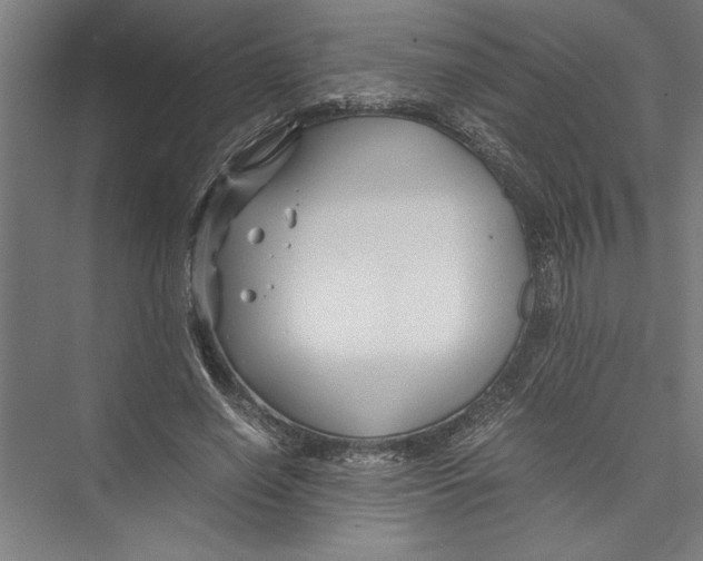 X0000075410638200610061958