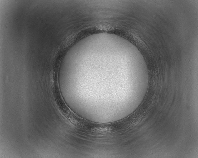 X0000075410639200610061958