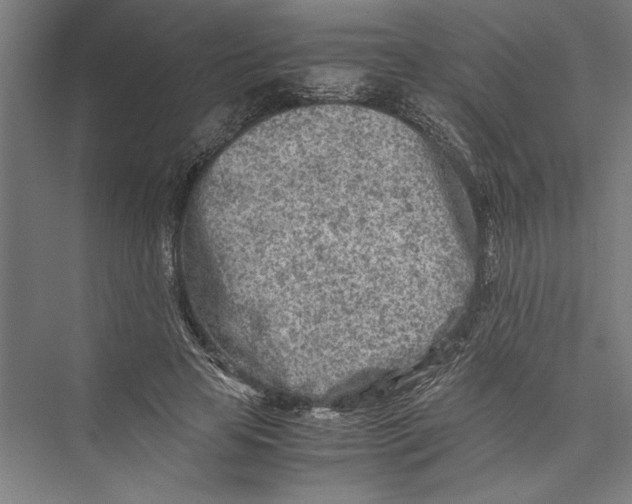 X0000075410641200610061958