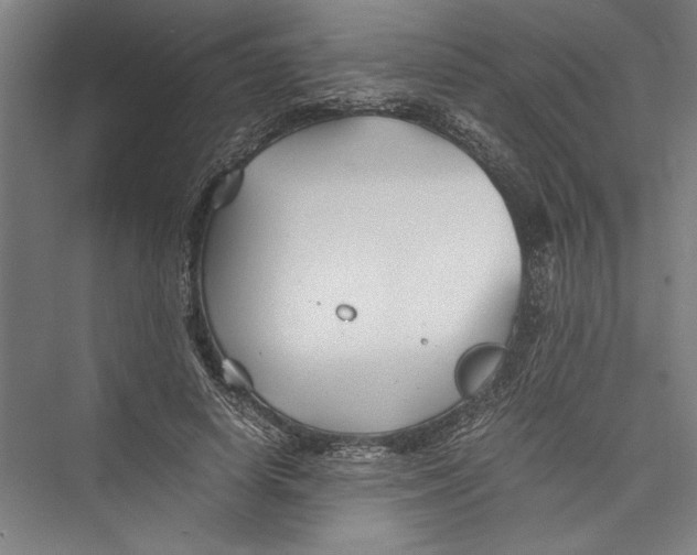 X0000075410642200610061958