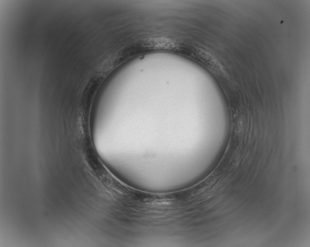 X0000075410643200610061958