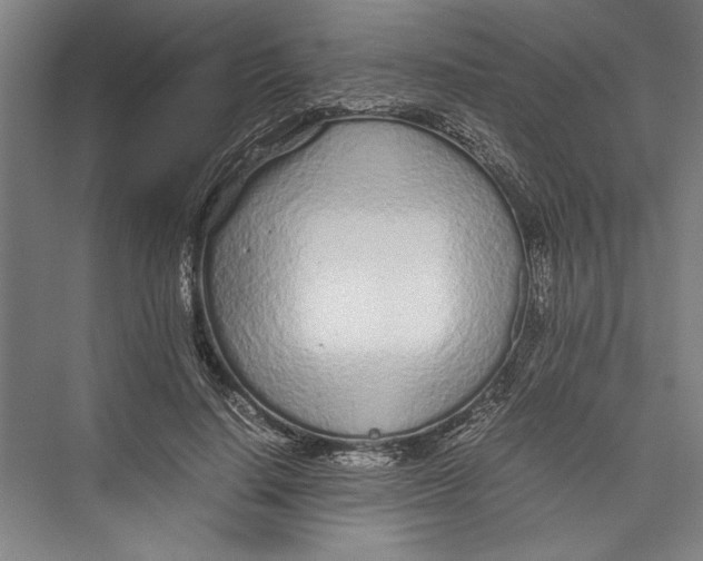 X0000075410644200610061958