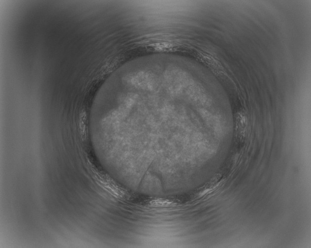 X0000075410650200610061958