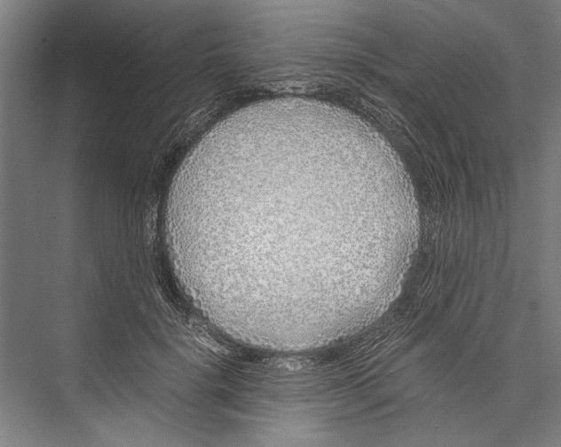 X0000075410652200610061958