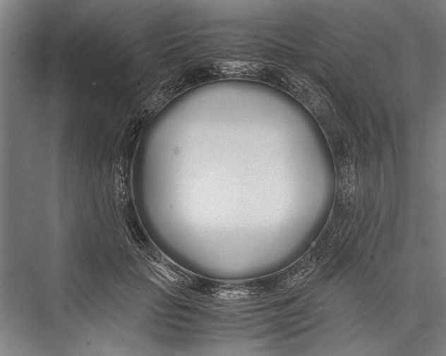 X0000075410653200610061958