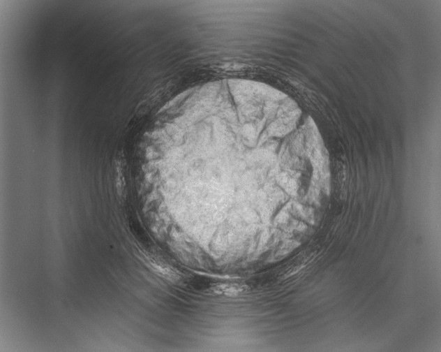 X0000075410654200610061958