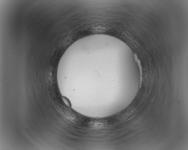 X0000075410655200610061959