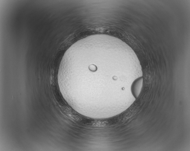 X0000075410656200610061959