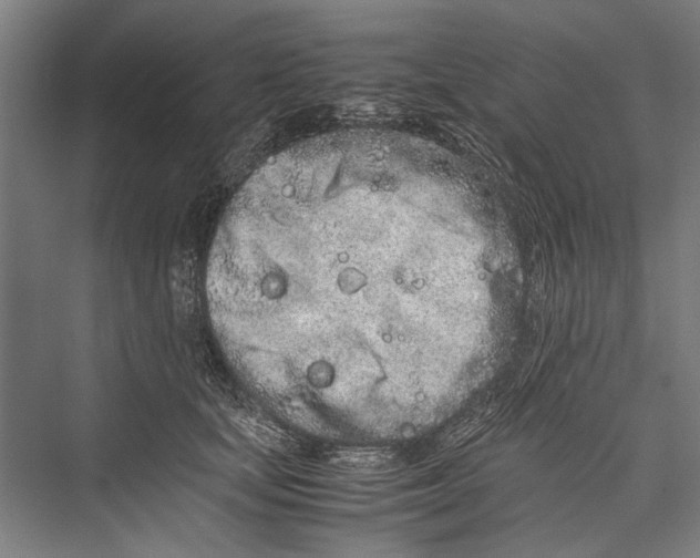 X0000075410659200610061959