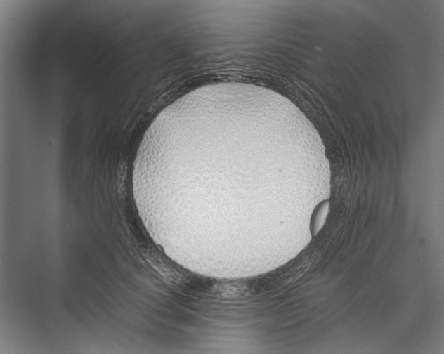 X0000075410660200610061959