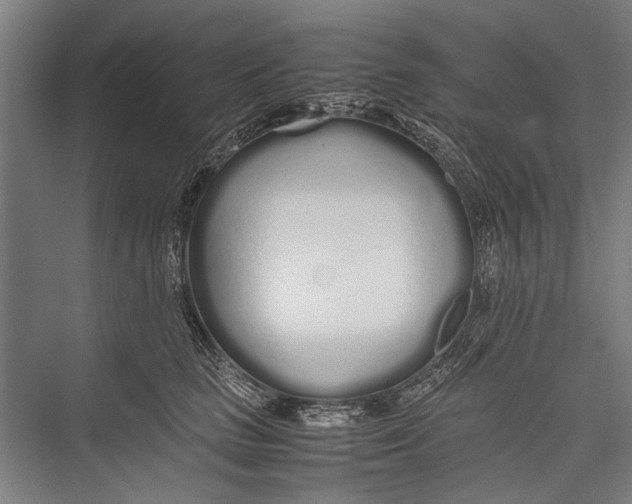 X0000075410661200610061959