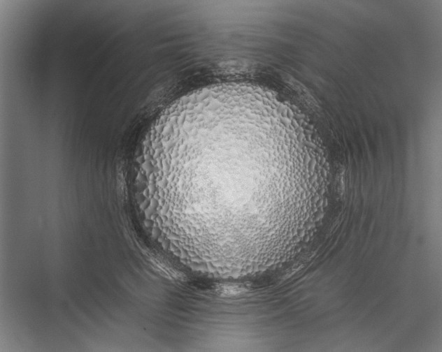 X0000075410662200610061959