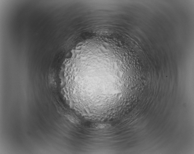 X0000075410663200610061959