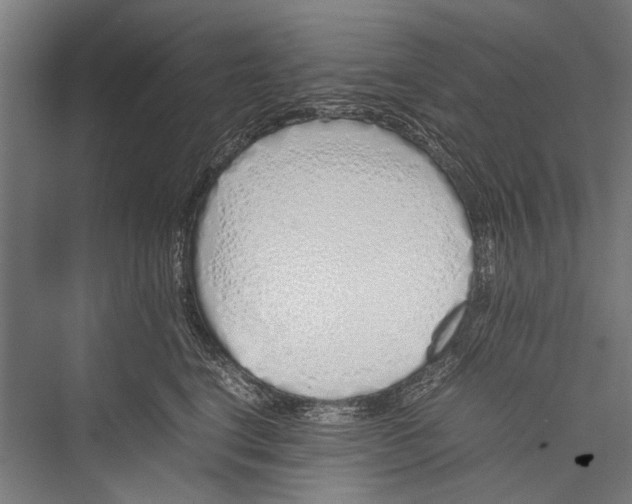 X0000075410664200610061959