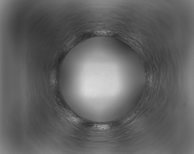 X0000075410665200610061959