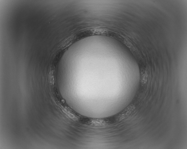 X0000075410666200610061959