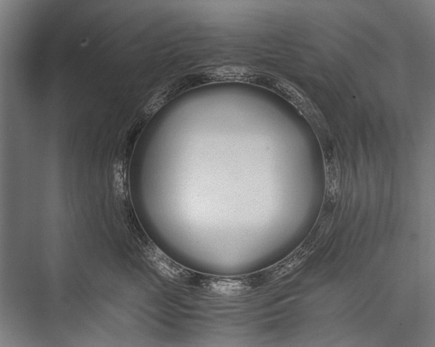 X0000075410669200610061959