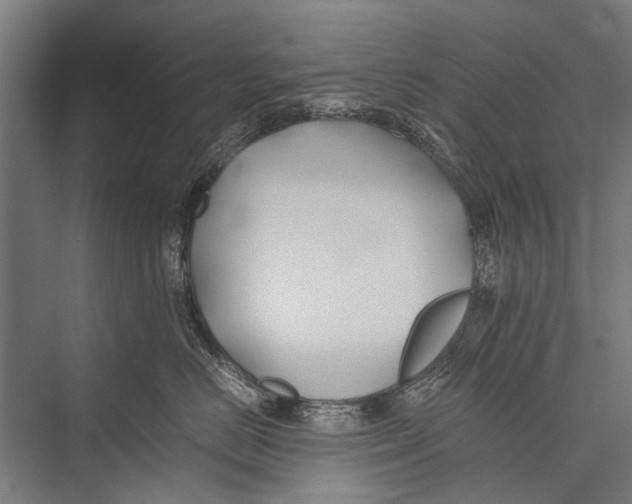 X0000075410670200610061959