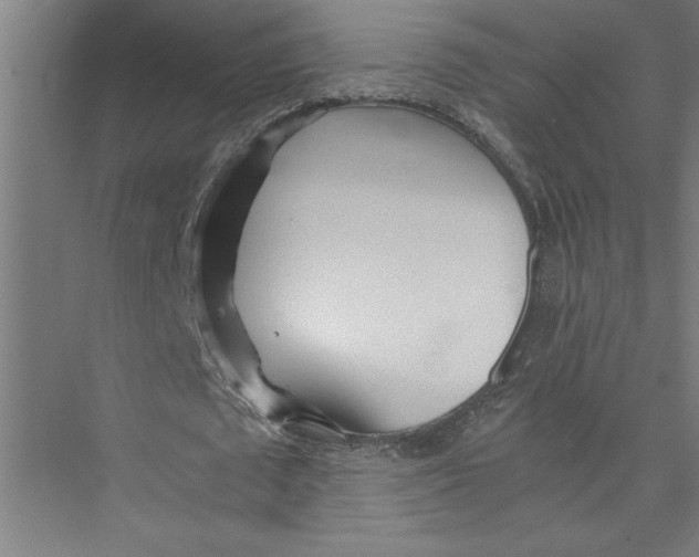 X0000075410673200610061958