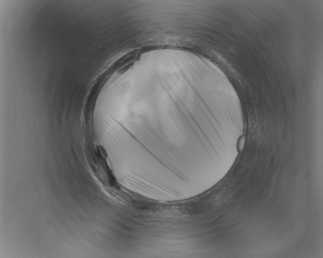 X0000075410674200610061958