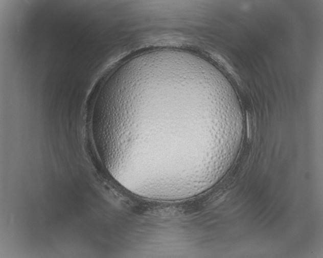 X0000075410675200610061958