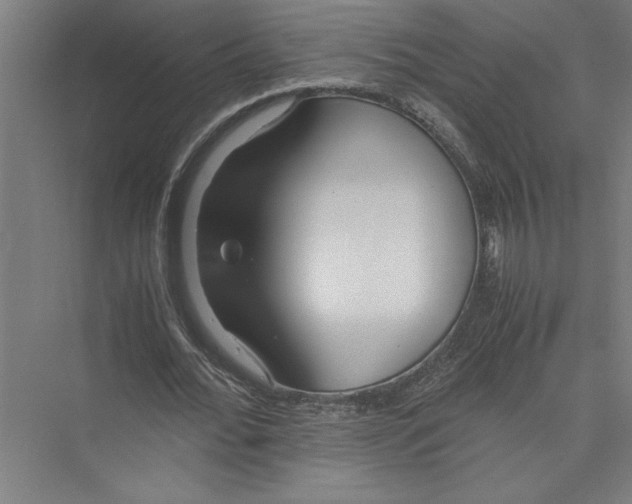 X0000075410676200610061958