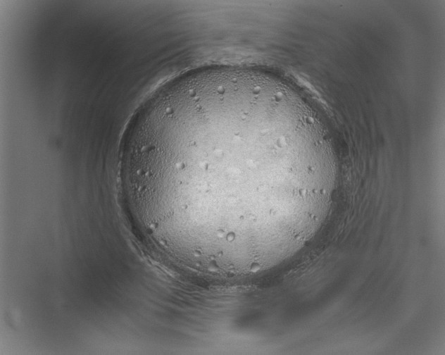 X0000075410679200610061958