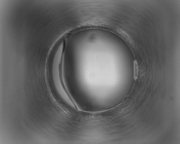 X0000075410680200610061958