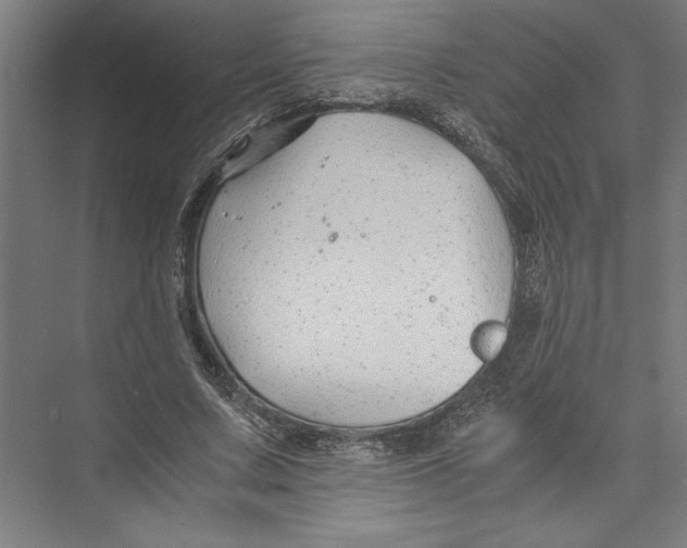 X0000075410683200610061958