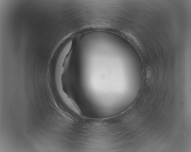 X0000075410684200610061958