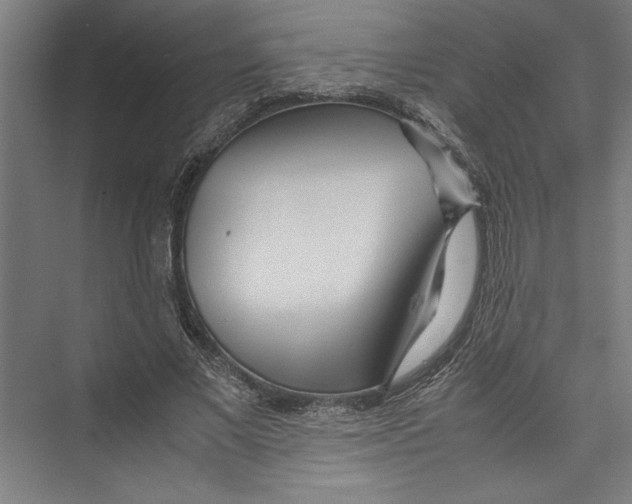 X0000075410685200610061958