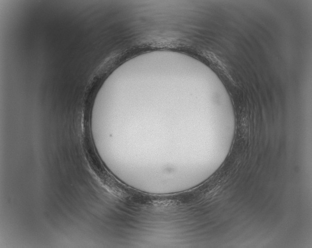 X0000075410686200610061958