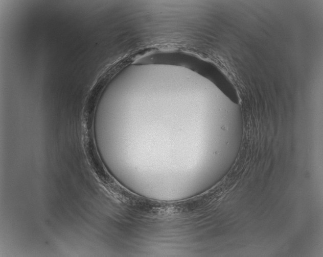 X0000075410688200610061958