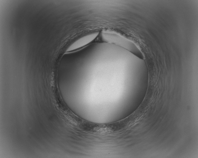 X0000075410689200610061958