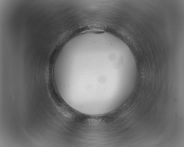 X0000075410690200610061958