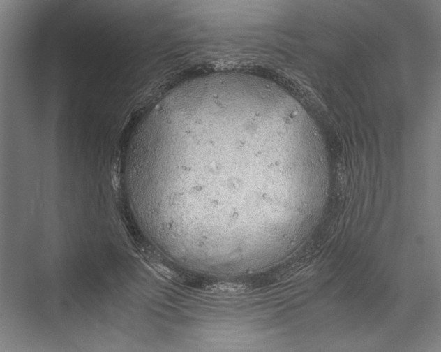 X0000075410691200610061958