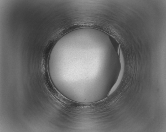 X0000075410692200610061958