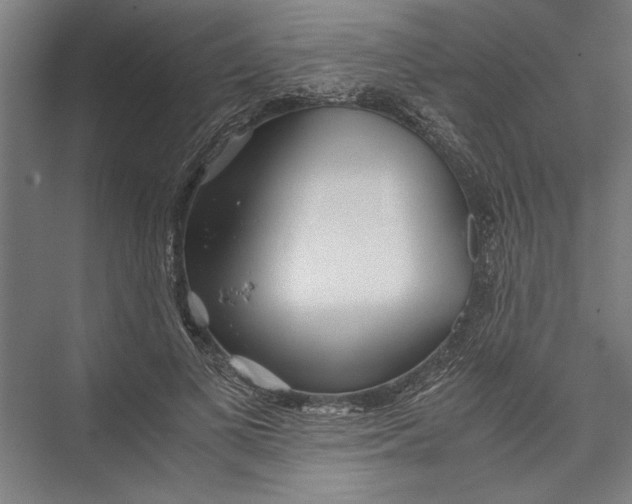 X0000075410693200610061958