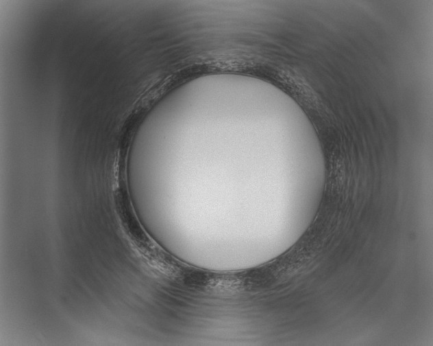 X0000075410694200610061958