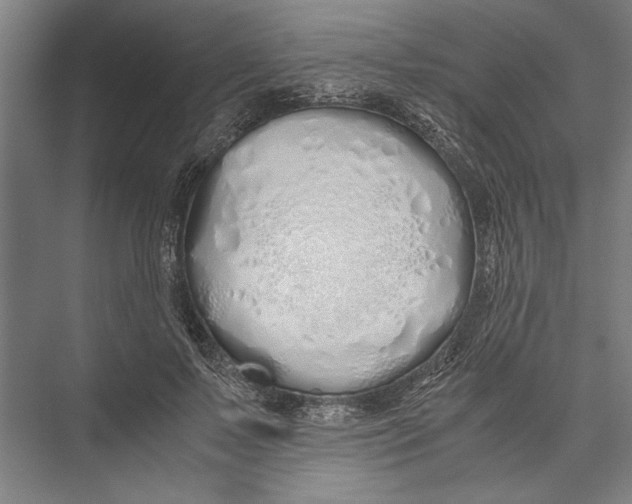 X0000075410695200610061958