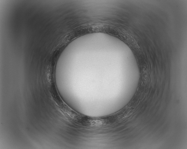 X0000075410698200610061958