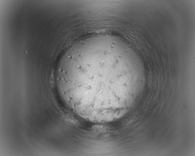 X0000075410699200610061958