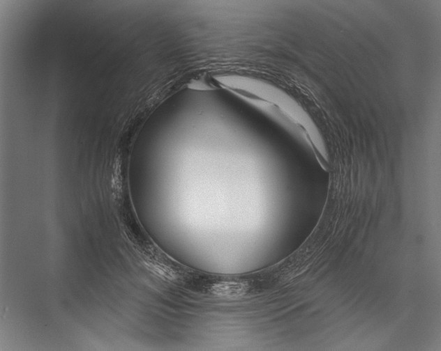 X0000075410700200610061958