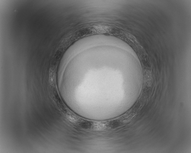 X0000075410701200610061958