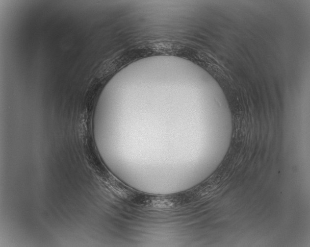 X0000075410702200610061957